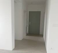 Interior of a 2-room apartment with a wooden decor floor and entrance door.