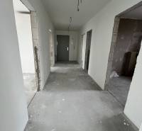 A hallway in a 3-room apartment with unfinished plaster and flooring.