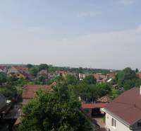 View of family houses in Chorvátsky Grob from Školská Street, with greenery in the background.