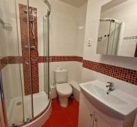 A bathroom in a 2-room apartment with red tiles, a shower corner, and a sink with a mirror.