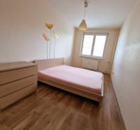 A bedroom in a two-room apartment with a wooden decor floor and a floral motif on the wall.