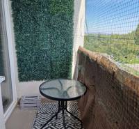 Balcony of a 2-room apartment with a round table, carpet, and green vertical wall.