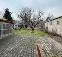 Courtyard by a 2-room apartment on Orieškova Street in Bratislava - Ružinov with trees and paving.