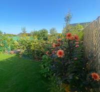 Flower garden at the family house on Radová Street in Nová Dedinka, bordered by a fence.
