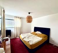 A bedroom in a family house with a red carpet, a blue bed, and a large window.