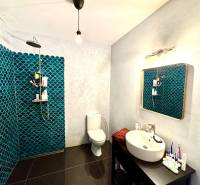 A bathroom with a dark floor and blue tiles in a family house.