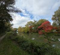 A river with a bank, trees, and a path under a clear sky in Nová Dedinka.