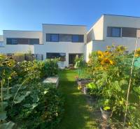A garden with plants and sunflowers in front of a family house on Radova Street in Nova Dedinka.