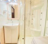 Bathroom with a corner shower, sink, and washing machine in a 2-room apartment.