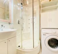 Bathroom in a 2-room apartment with a washing machine, shower, and sink.