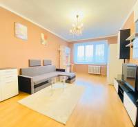 Living room in a two-room apartment with a wooden decor floor, sofa, furniture, chandelier.