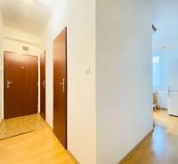 Entrance hall in a 2-room apartment with a wooden decor floor.