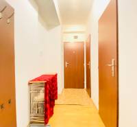 A hallway in a 2-room apartment with a wooden decor floor, doors, and small furniture.