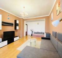 Living room in a two-room apartment with a wooden decor floor and a comfortable sofa.