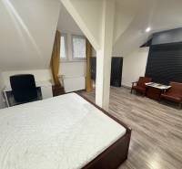 Bedroom in a studio apartment with wood-patterned flooring and a desk.