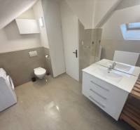 Attic bathroom of a studio apartment with a washing machine and a sink, wooden decor flooring.