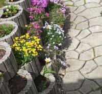 Colorful flowers in concrete planters by the walkway in a family house in Vršatské Podhradie.