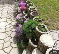A flower bed along the pavement by a family house in Vršatské Podhradie.