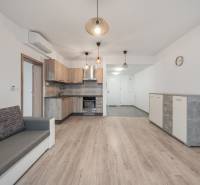 Living room with kitchen and wooden decor flooring in a 2-room apartment.