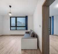 Living room with a sofa, large window, and wooden decor flooring in a 2-room apartment.