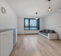 Living room in a two-room apartment with a sofa and a wooden decor floor.