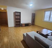 A large living room in a three-room apartment with a comfortable sofa and wooden decor.