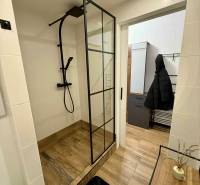 A bathroom with a shower and a wooden decor floor in a studio apartment.