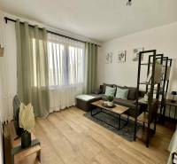Interior of a 1-bedroom apartment with a sofa, table, and floor with wooden decor.