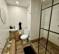 Bathroom in a studio apartment with wood-patterned flooring and a shower corner.