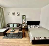 Living room in a studio apartment with a sofa, bed, and decorations, wooden decor flooring.