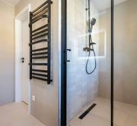 A bathroom with a shower and a black ladder in a 3-room apartment.