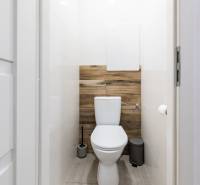 A bathroom in a 2-room apartment with a wooden decor floor.