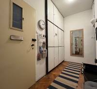 Hallway of a 2-room apartment with a wooden decor floor, storage cabinets, and a runner.