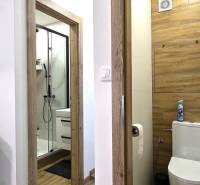 A hallway with a wooden decor floor, two rooms, a bathroom, and a toilet in a 3-room apartment.