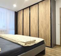 Bedroom with access to the living area, wood-decor flooring, 3-room apartment.