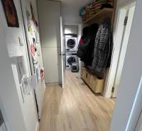 A narrow hallway with cabinets and a floor with a wooden decor in a 4-room apartment.