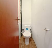 A toilet with a wooden decor floor in a 4-room apartment.