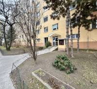 Apartment building in Bratislava - Lúky, surroundings with trees and a bush in front of the entrance.