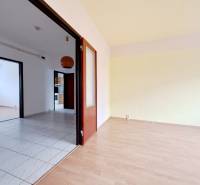 4-room apartment with wooden decor flooring and tiles in living areas.