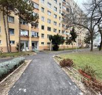 Apartment building in Bratislava-Lúky with a landscaped front garden and an asphalt walkway.