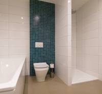 Bathroom with a shower and a bathtub in a 2-room apartment.
