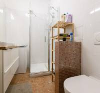 Bathroom in a two-room apartment with ceramic tiles and a shower corner.