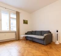 Living room in a 2-room apartment with a sofa and wooden decor flooring.