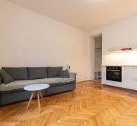 Living room in a two-room apartment with a sofa, kitchen unit, and wooden decor flooring.