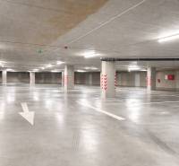 Underground parking with marked spaces and columns in the garage.