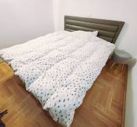 Recreational apartment with a bed, wooden floor decor, and a small nightstand.