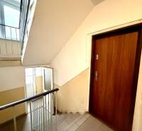A corridor with metal railings and entrance doors to an apartment with a wooden decor.