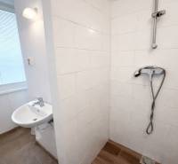 A bathroom with white tiles, a shower, a sink, and a wooden decor floor in a studio apartment.