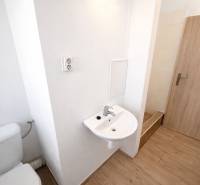 Bathroom in a studio apartment with a toilet, sink, and shower, floor with wood decor.