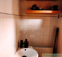 A small bathroom with a sink, a shelf, and decoration in a family house.